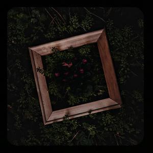 日本丰满巨乳美女和黑人乱搞
