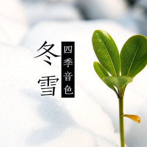 日本丰满巨乳美女和黑人乱搞
